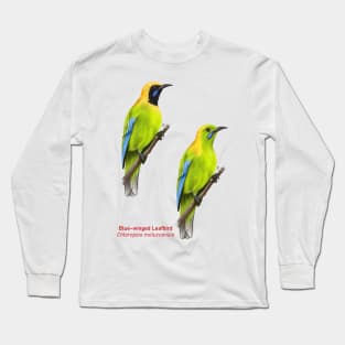 Blue-winged Leafbird | Chloropsis moluccensis ⚥ Long Sleeve T-Shirt